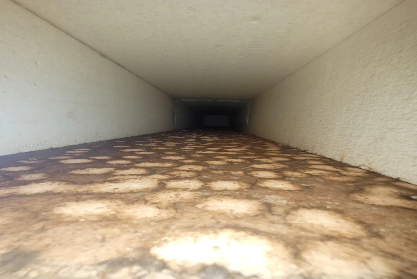 Bathroom Exhaust Cleaning